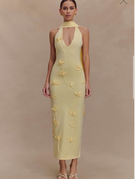 Meshki Dresses & Skirts - Meshki Yellow Floral Appliqué Midi Dress